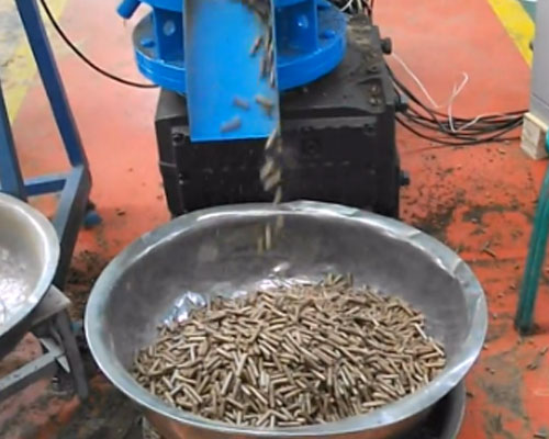 小型魚(yú)飼料顆粒機生產(chǎn)視頻